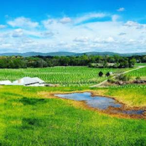 Conservation Services