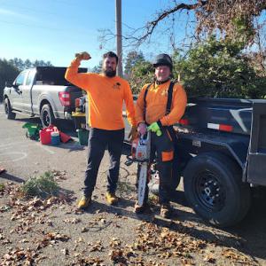 Tree Cutters