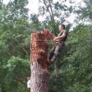 Pratt Tree Service