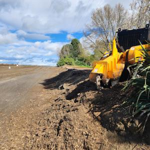 Gladwell Stump Grinding