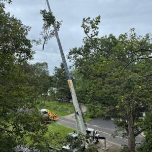 Litchfield County Tree Service