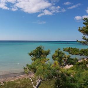 Creative Canopy Tree Care