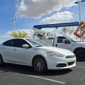 Tree trimming & removals - yard clean up | Centurion Landscaping