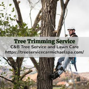C&B Tree Service & Lawn Care