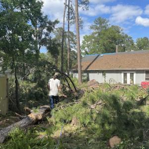 2 The Top Tree Service