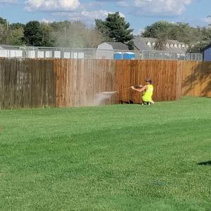 Full throttle handyman & tree service