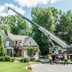 J & D Tree Pros, Inc. of Apex