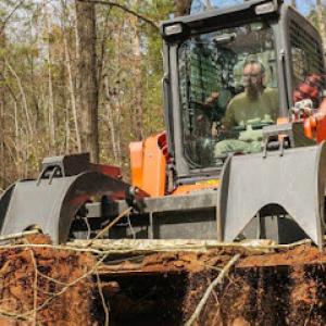 True Cut Tree Service