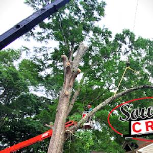 Southern Crane & Mechanical Services