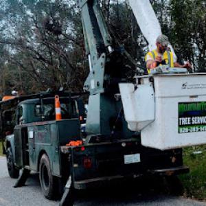 Mountain Top Tree Service