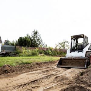 Ichabod's Tree Experts