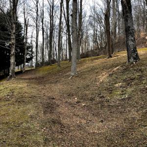 Appalachian Tree Company