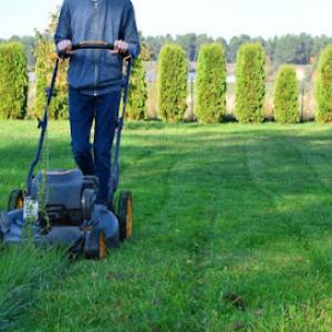 Ortiz Lawn & Tree Care