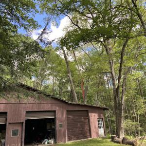 Smith's Tree Service