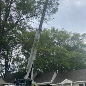 T&A Tree Service