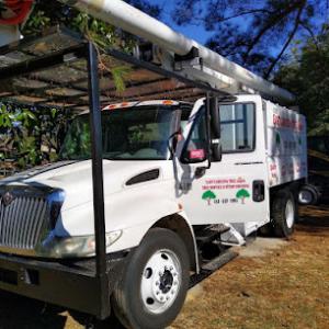 East Carolina Tree Angels