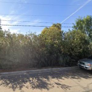 Godinez Tree Services