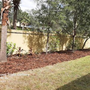 K & C Tree & Shrub Services