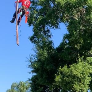 Precision Arboristry Services