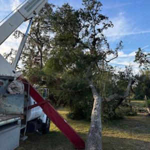 High Canopy Enterprises