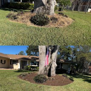 Clermont Land & Tree