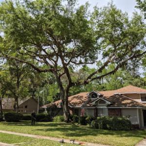 Advanced Professional Tree Service