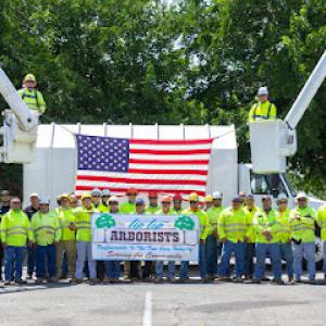 Tip Top Arborists