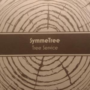 SymmeTree