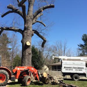 Holbert's Tree Service