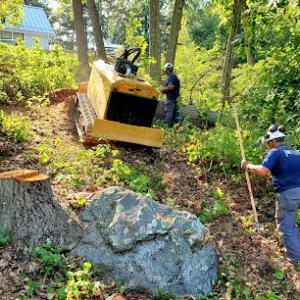 Hercules Stump Grinding