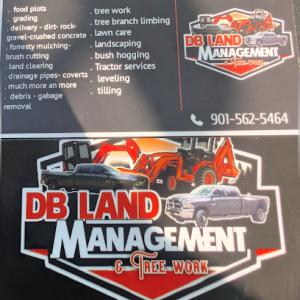 DB land management & tree work