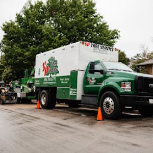 S&P Tree Service