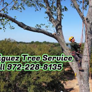 Rodriguez Tree Service