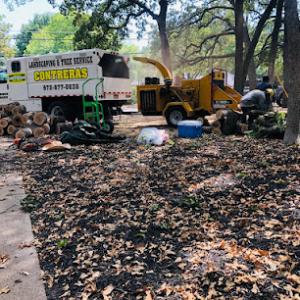 Contreras Landscape & Tree Services