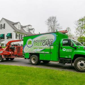 Advanced Tree Care