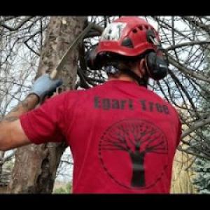 John Egart's Tree Service