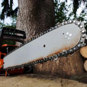 Oakland Tree Service