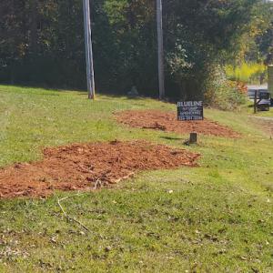 Blueline Stump Grinding