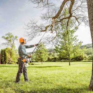 Discounted Tree Removal Company