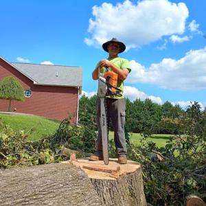 Clean Cut Tree Service