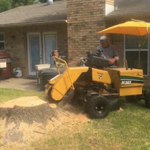 B & R Stump Grinding
