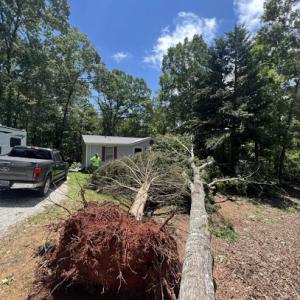 Emergency Tree Removal Service Atlanta