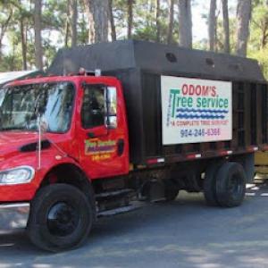Odoms Beaches Tree Service