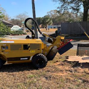 Jacksonville Stump Grinding