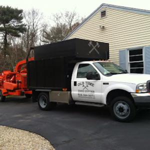 Old Time Tree Cutter