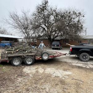 Paul Rico tree service