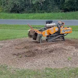 Morrissey Stump Removal