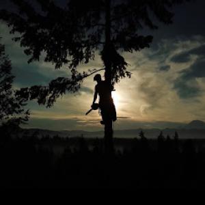 Sky High Tree Removal