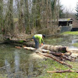 Duncan Landscaping & Tree Service