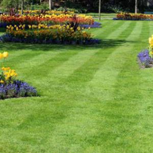 PV Landscaping Service